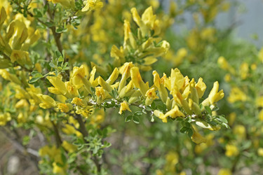 Similar image 21365888