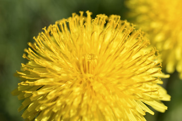 Similar image 21365891