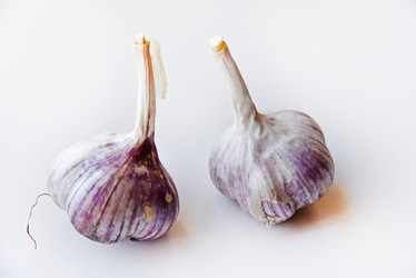 Similar image 21343465