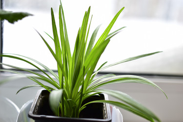 Similar image 21344074