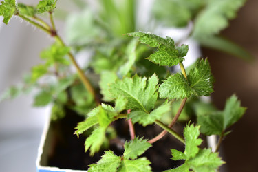 Similar image 21344079