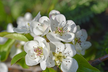 Similar image 21353427