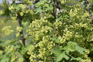 Similar image 21353428