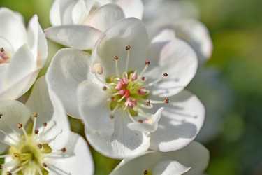 Similar image 21353429