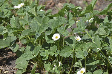 Similar image 21353430