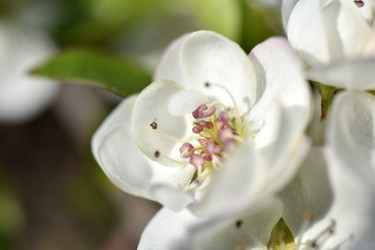 Similar image 21353431