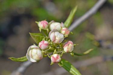 Similar image 21353433