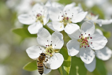 Similar image 21361732