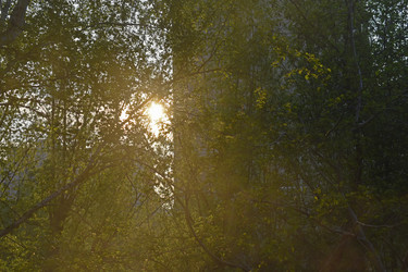 Similar image 21361734