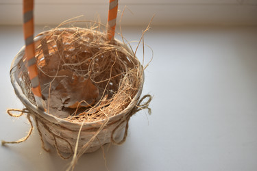 Similar image 21361736