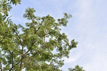 Similar image 21365907