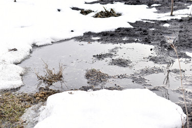 Similar image 21366149