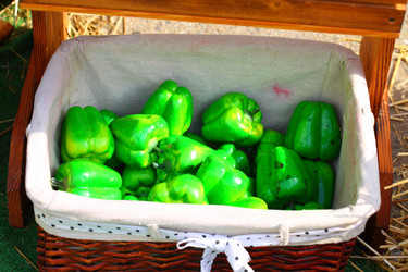 Similar image 21344999