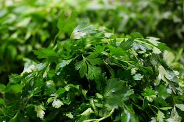 Similar image 21362745