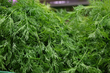 Similar image 21362746