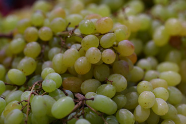 Similar image 21362748