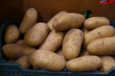 Similar image 21346790