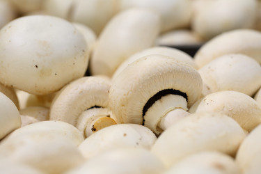 Similar image 21346793