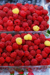 Similar image 21362729