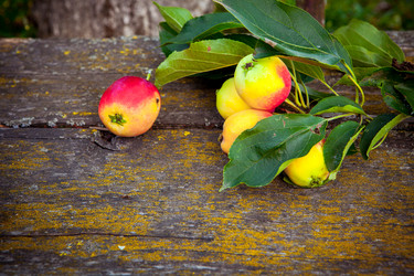 Similar image 21367317