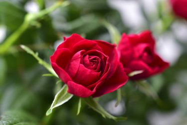 Similar image 21344083