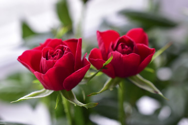 Similar image 21344084