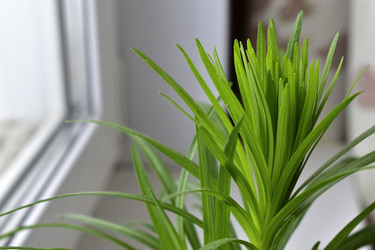 Similar image 21352369