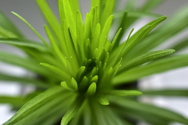 Similar image 21352370