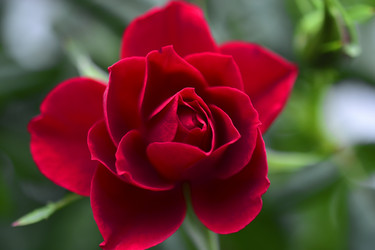 Similar image 21352371