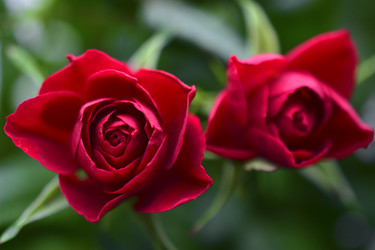 Similar image 21353324