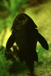 Similar image 21365913