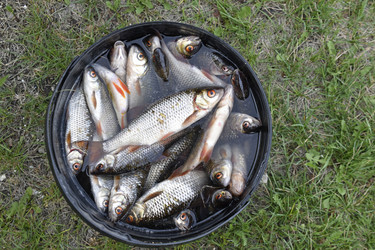 Similar image 21366152