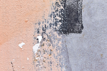 Similar image 21366157