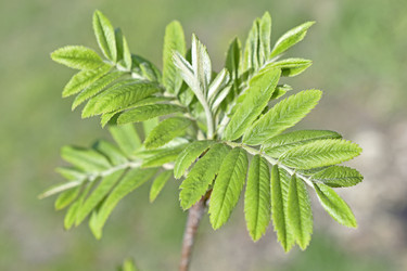 Similar image 21348461