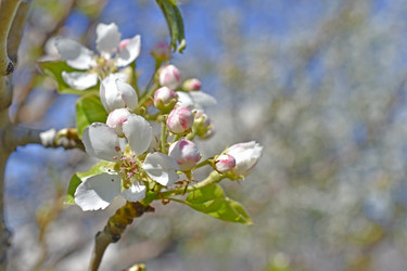 Similar image 21348522