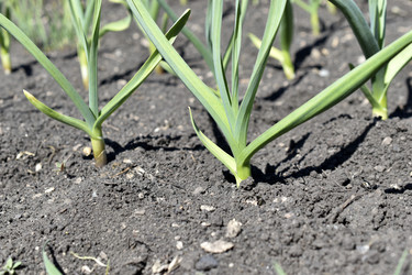 Similar image 21348523