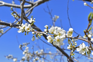 Similar image 21348526