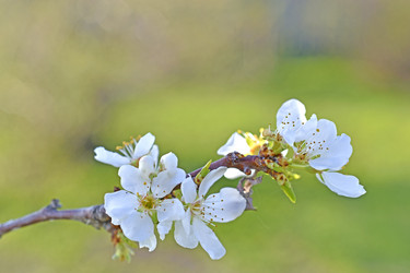 Similar image 21353329