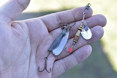 Similar image 21353436