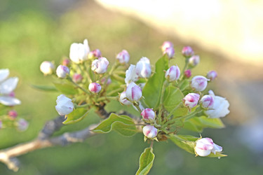 Similar image 21353438