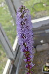 Similar image 21353440