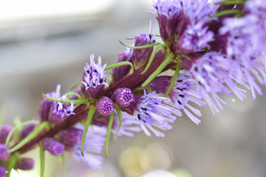 Similar image 21353443