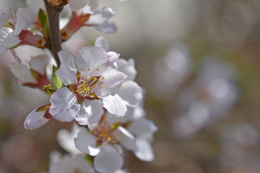 Similar image 21353446