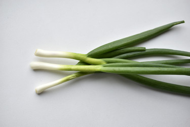 Similar image 21353453