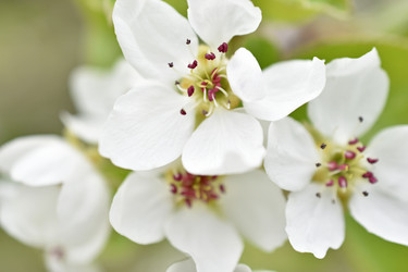 Similar image 21361751