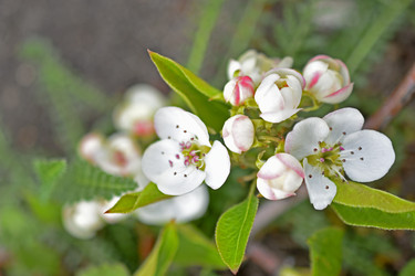 Similar image 21361755