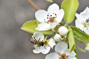 Similar image 21361756