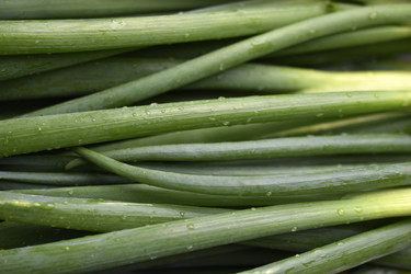 Similar image 21343479