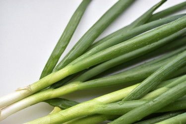 Similar image 21343481