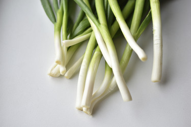 Similar image 21343483